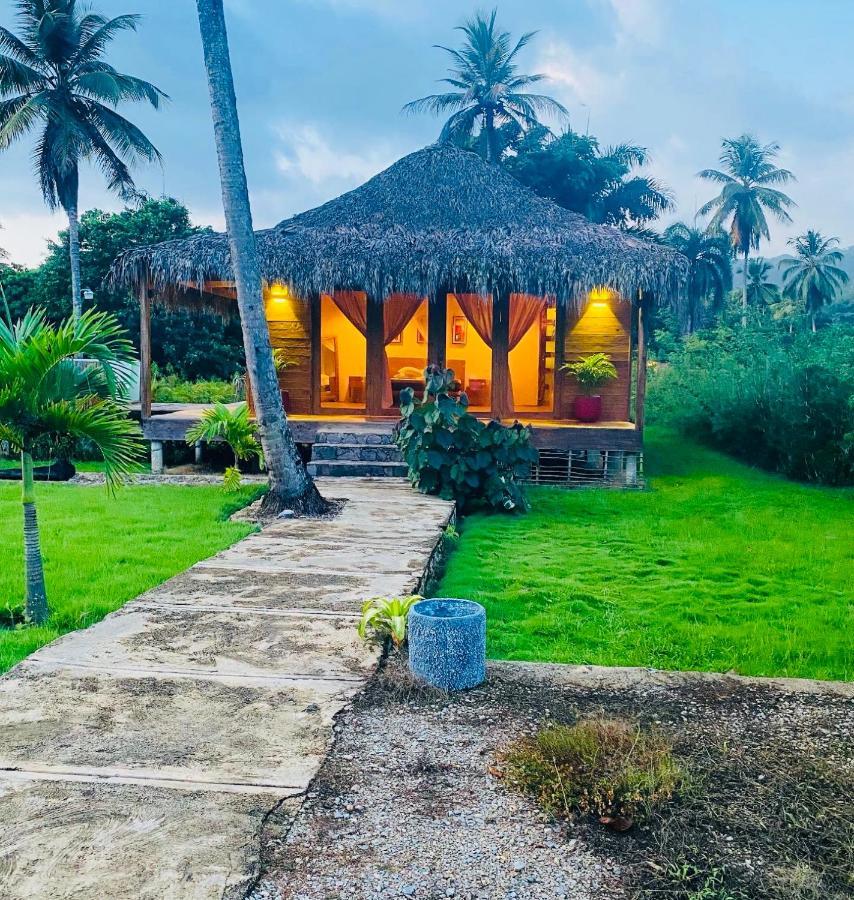 Palmeras Del Valle Samana المظهر الخارجي الصورة